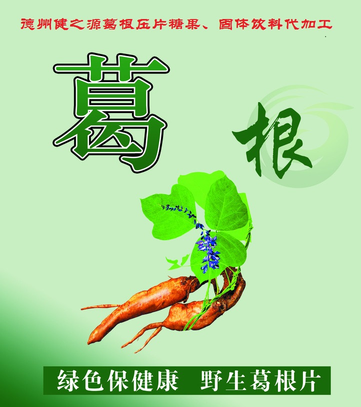 葛根，男女通用的人體調(diào)理專家
